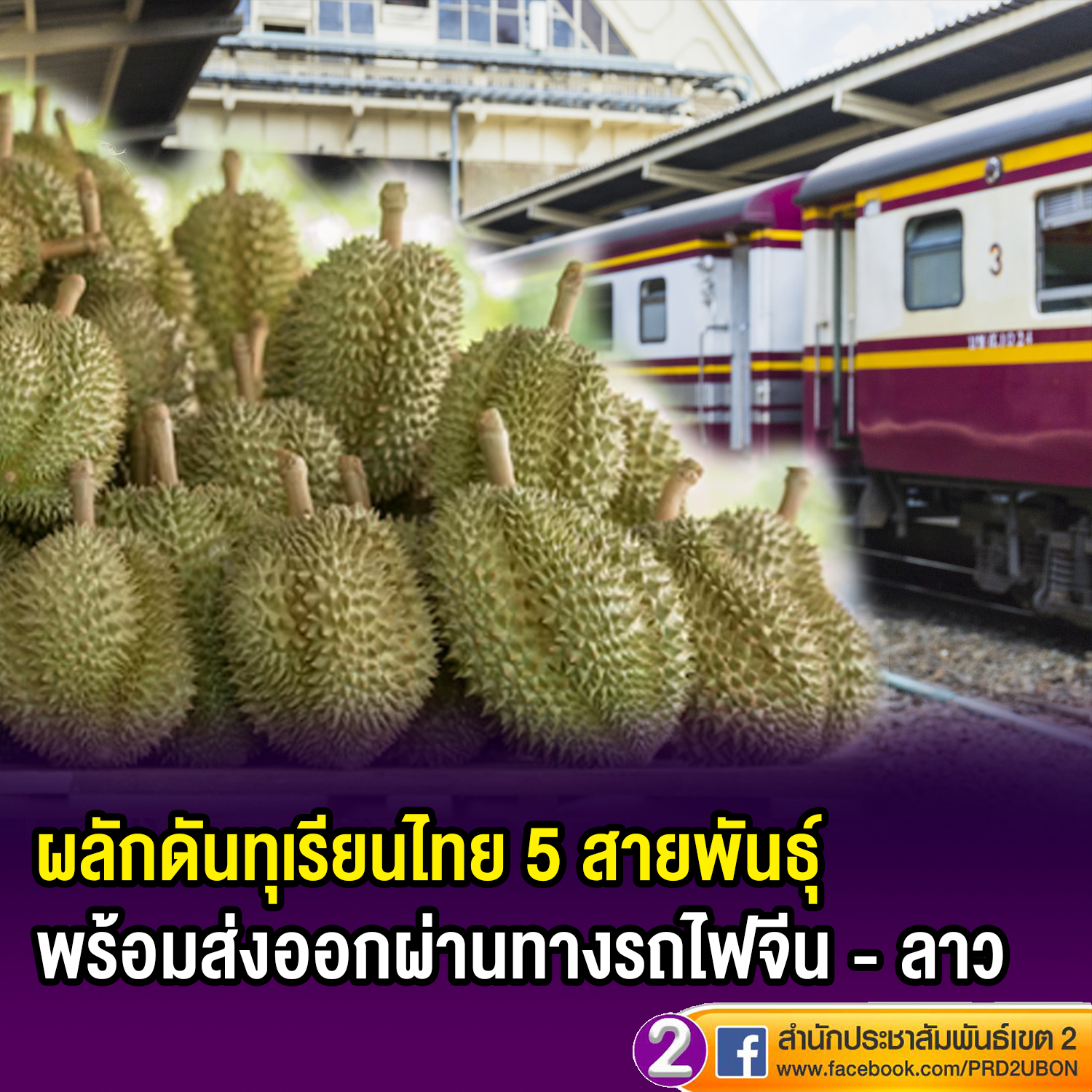💥หน่วยงานภาครัฐ – เอกชน ผลักดันทุเรียนไทย 5 สายพันธุ์ พร้อมส่งเสริมการส่งออกผ่านทางรถไฟจีน - ลาว