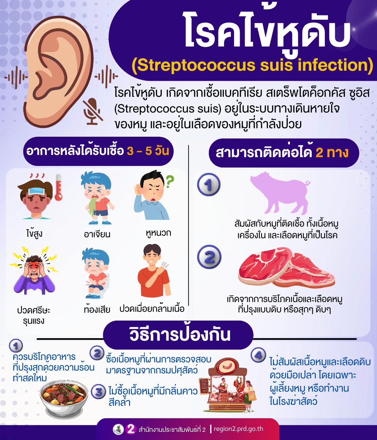 ✨โรคไข้หูดับ