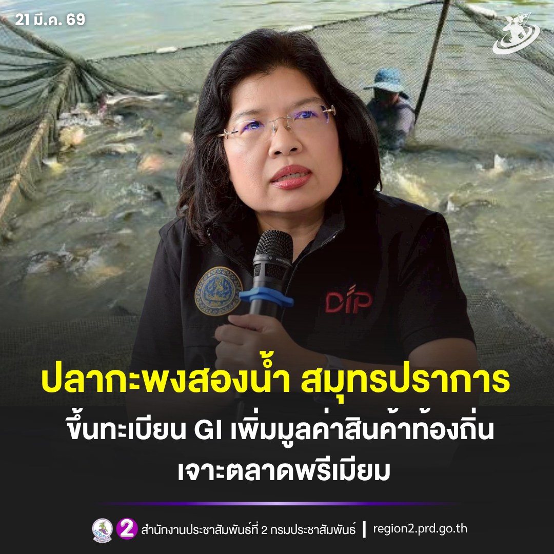 กรมทรัพย์สินทางปัญญา ขึ้นทะเบียน GI น้องใหม่ "ปลากะพงสองน้ำสมุทรปราการ" เพิ่มมูลค่าสินค้าท้องถิ่น เจาะตลาดพรีเมียม