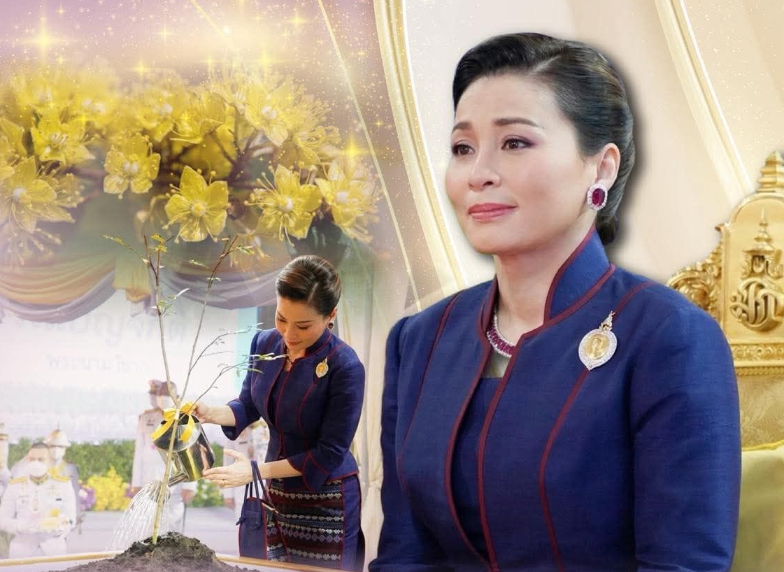 "ต้นรวงผึ้ง" ต้นไม้ทรงปลูก ณ สวนป่าเบญจกิติ สัญลักษณ์แห่งการสืบสาน รักษา ต่อยอด ป่าในใจคน