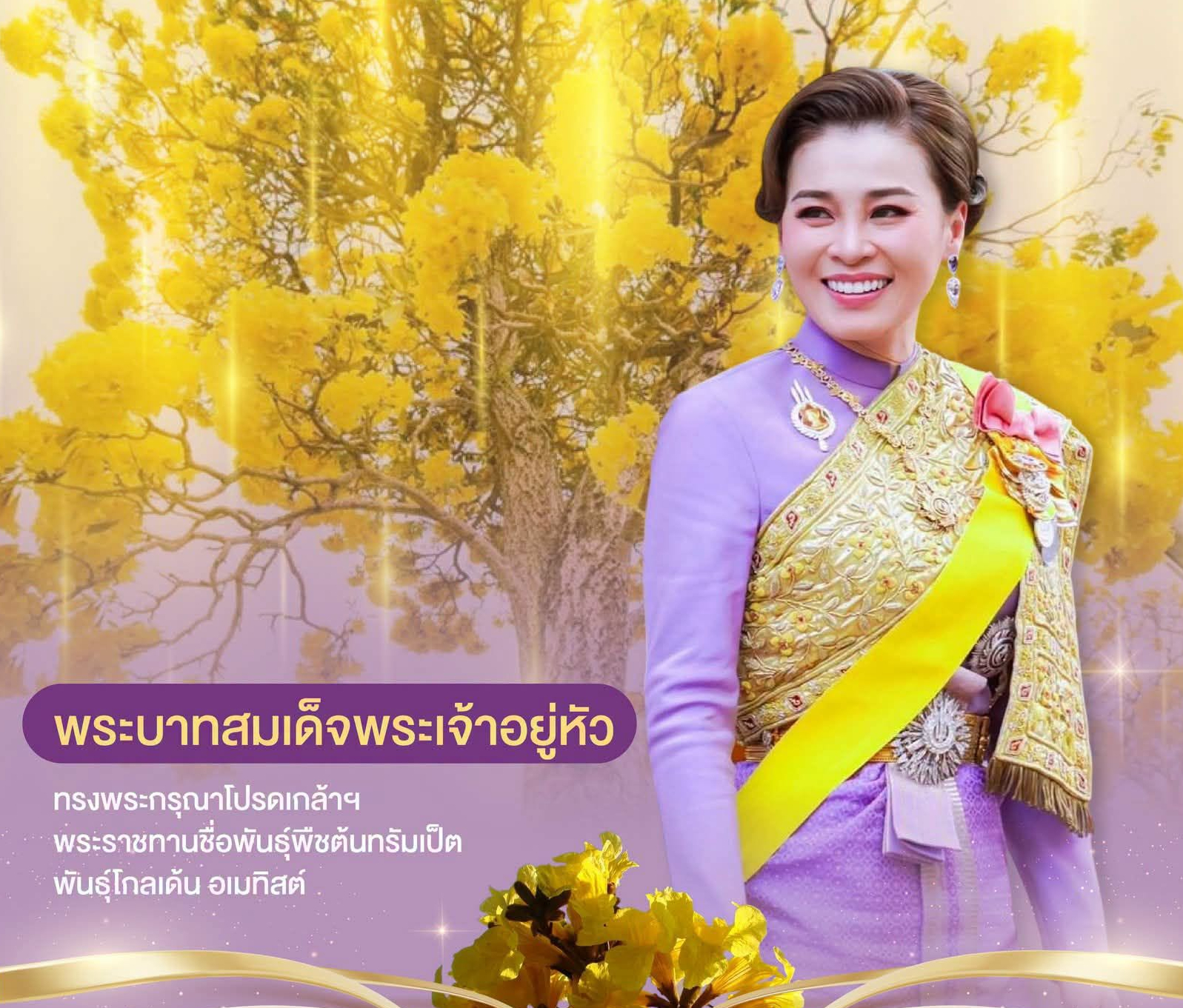 พระบาทสมเด็จพระเจ้าอยู่หัว ทรงพระกรุณาโปรดเกล้าโปรดกระหม่อม พระราชทานชื่อพันธุ์พืช ต้นทรัมเป็ต พันธุ์โกลเด้น อเมทิสต์ (Golden Amethyst) ซึ่งเป็นพรรณไม้สายพันธุ์ใหม่ว่า &ldquo;พิมลลักษณ์&rdquo;